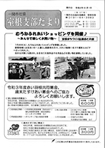 第37号